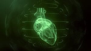 Anatomically correct green digital human heart. Futuristic particle cardiac scan
